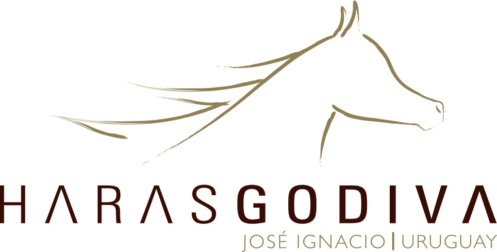 HARAS GODIVA