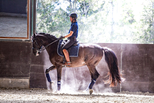 Equine Training