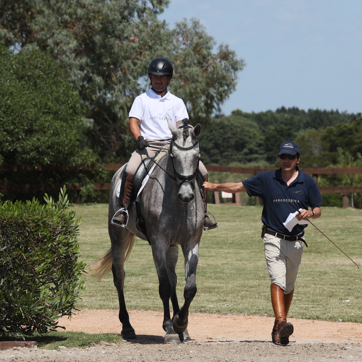 Dressage Lesson - Low Season