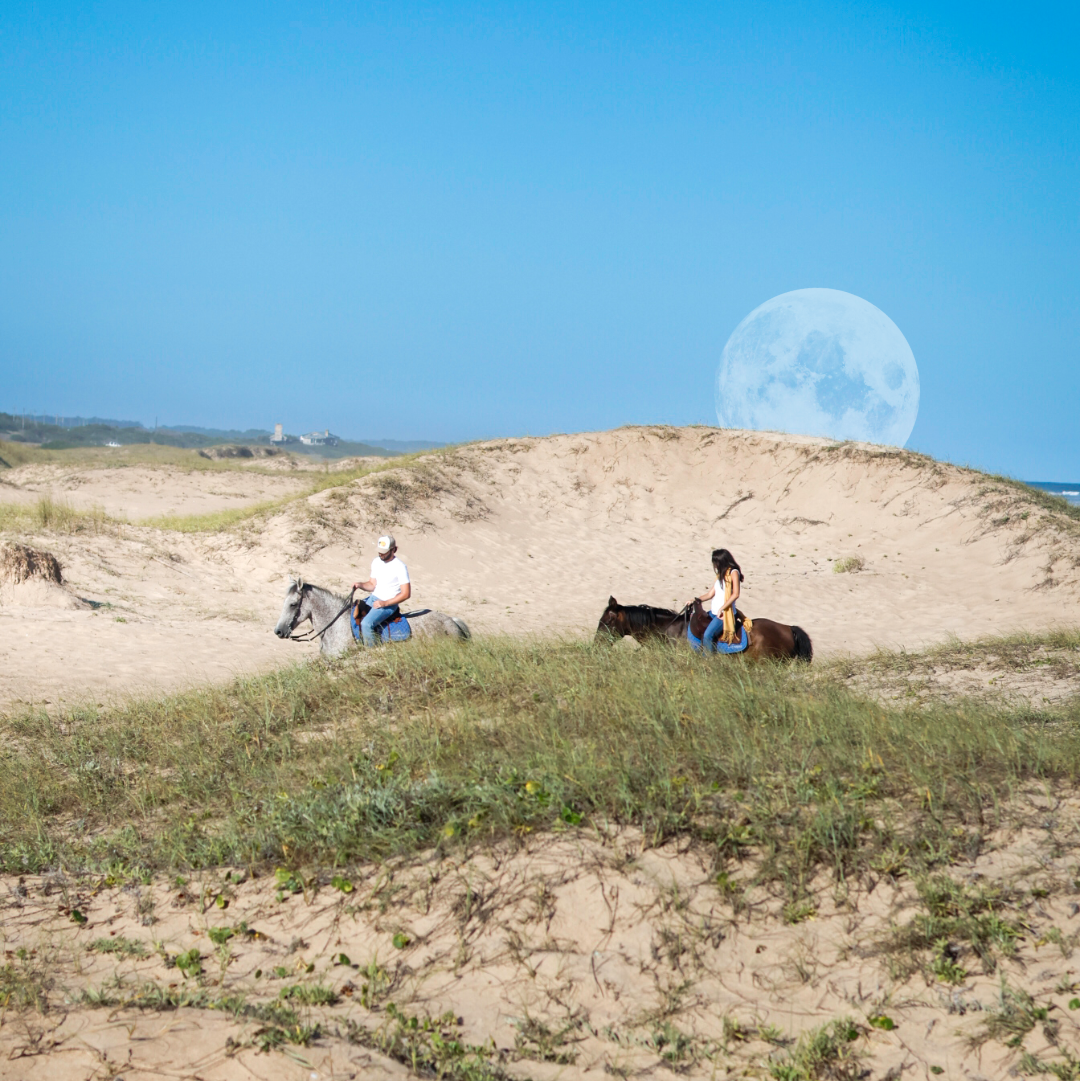 Full Moon - High Season