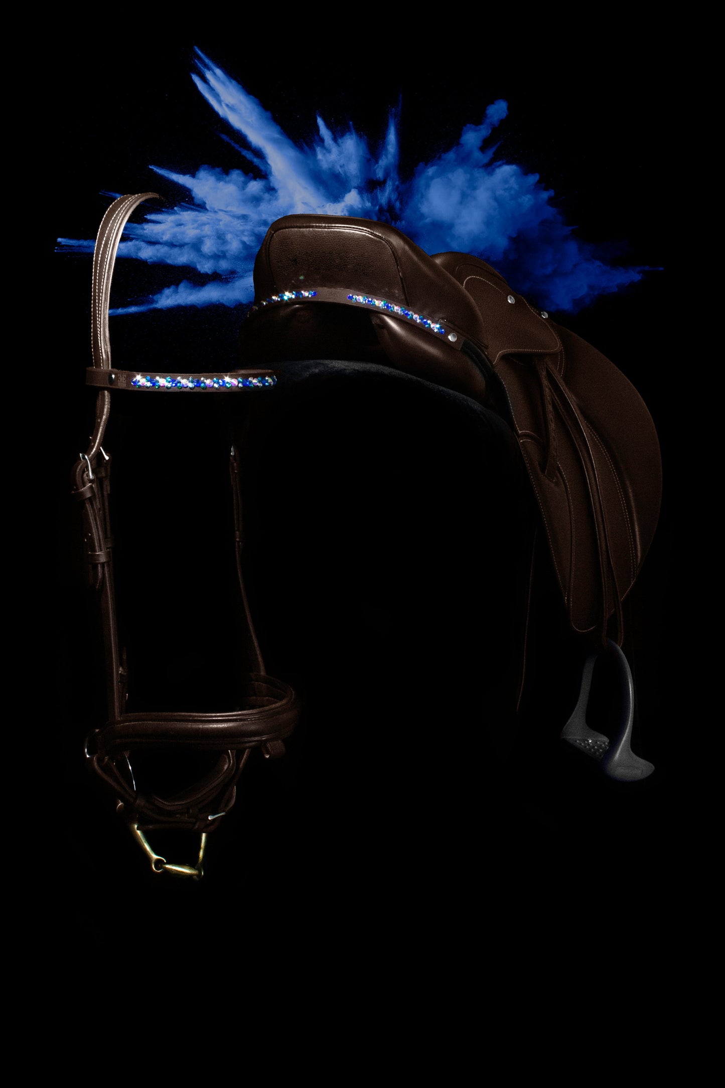 Ridding Browband and Saddle Jewel: Totilas