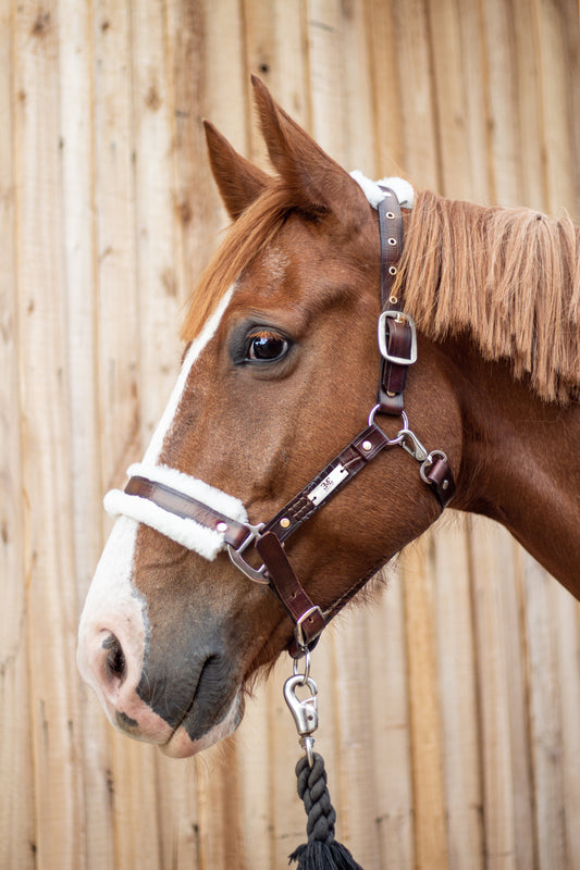 Horse Halter 100% cow leather and sheepskin leather