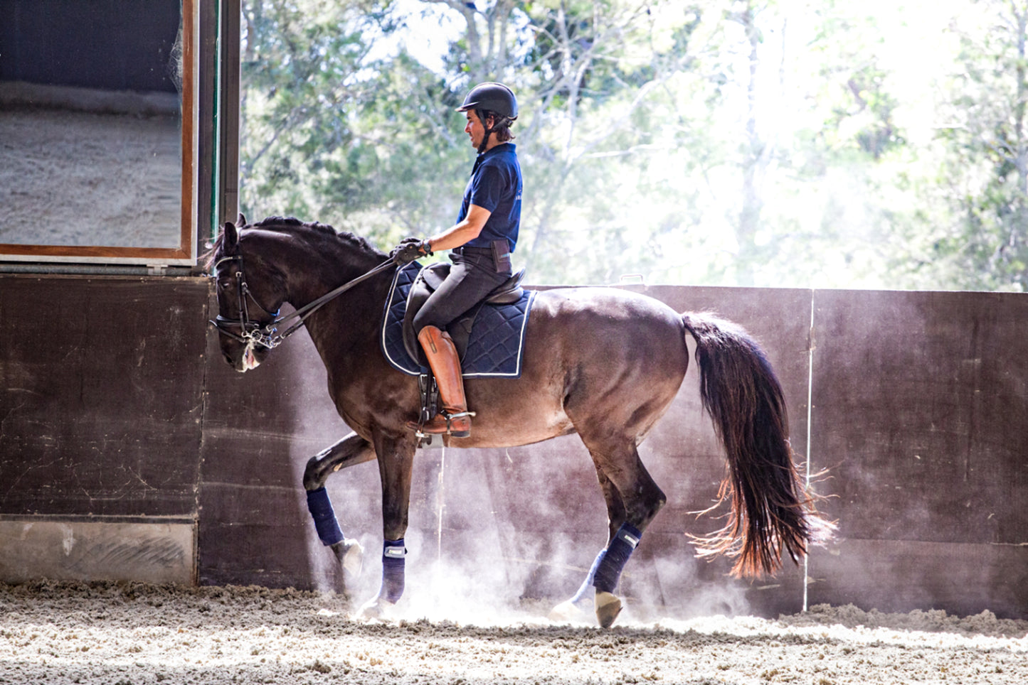 Entrenamiento Equino