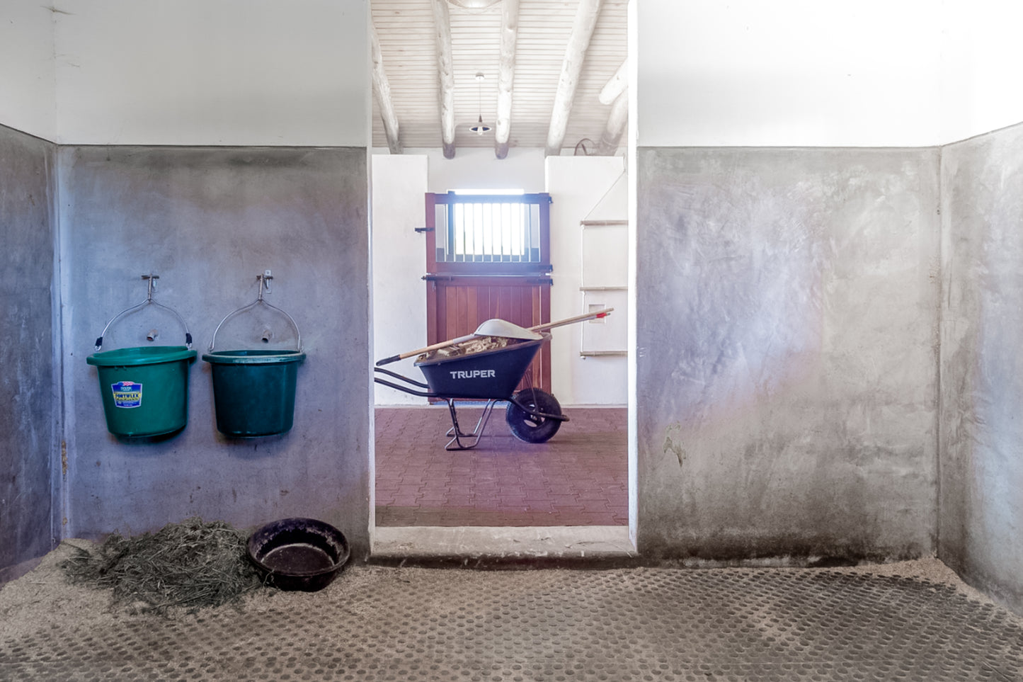 Equine Boarding - Stall