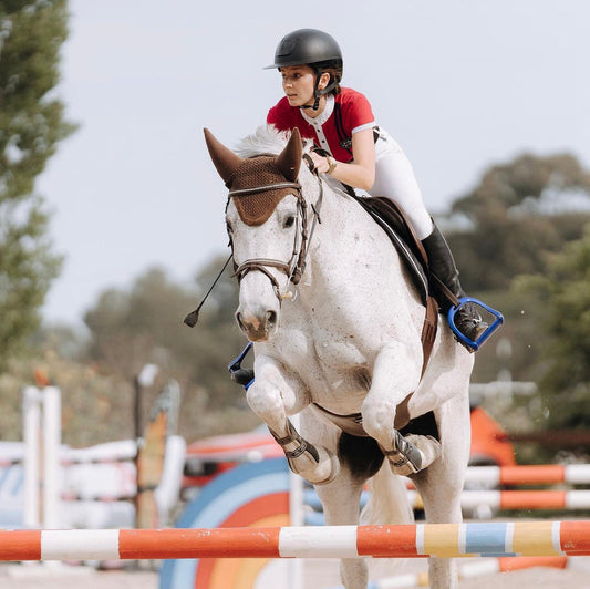 Show Jumping Lesson - OFF SEASON