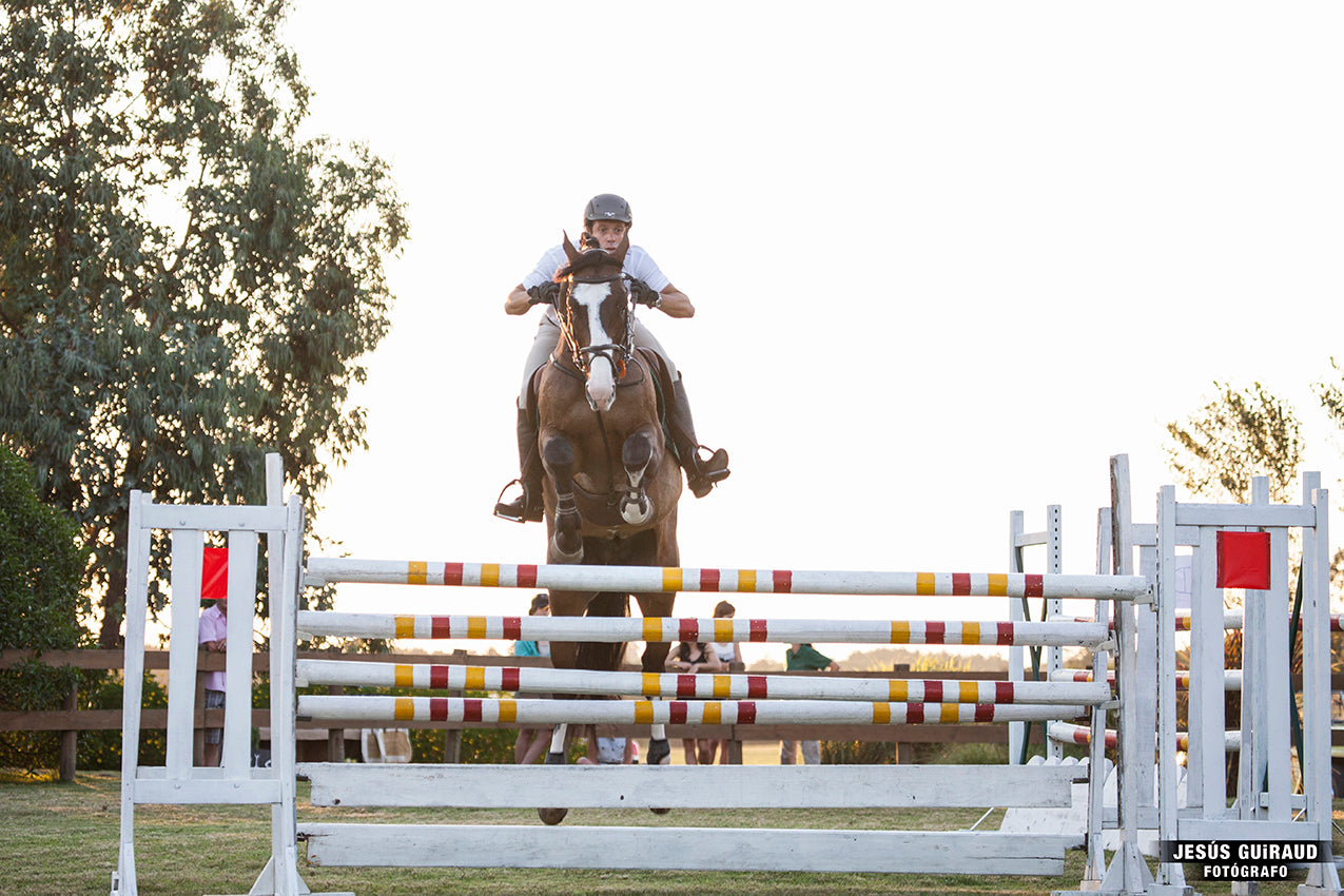 Entrenamiento Equino